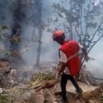 Ecuador intelligence chief and five Americans killed in Kenya helicopter crash | ACTPnews