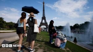 France links sharp rise in drownings to prolonged heatwaves | ACTPnews