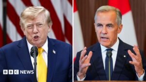 How Canada could hit back to hurt the US economy – and Trump | ACTPnews