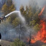 At least 12 dead as wildfires sweep through northern Algeria | ACTPnews