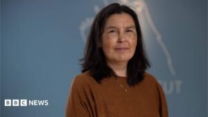 Greenland says findings on forced contraception genocide allegation not final | ACTPnews