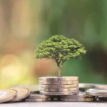 CII taskforce seeks new green finance institution for sustainability goals | India News | ACTPnews