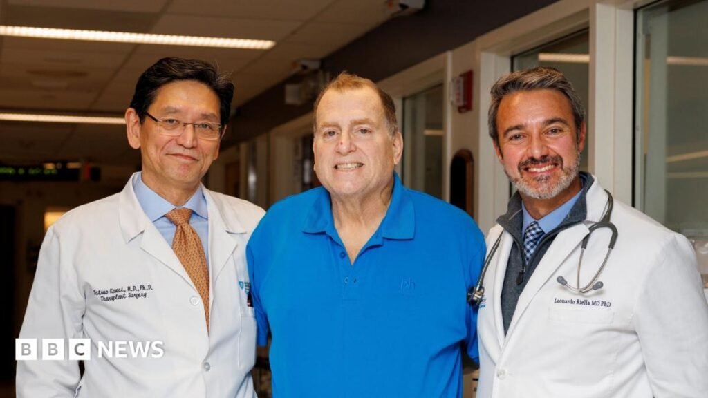 Pig kidney works in human body for 271 days – is this the future of organ transplants? | ACTPnews