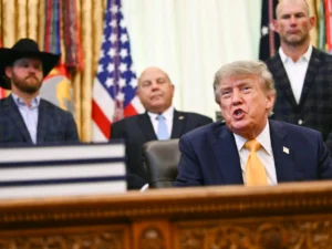 ‘Small potatoes’: US President Trump downplays war on Iran | US-Israel war on Iran News | ACTPnews
