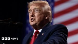 Trump: US president’s comments on a united Ireland may have targeted an audience across the Atlantic | ACTPnews