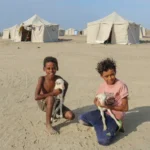 More than 112,000 displaced by Yemen fighting; thousands flee to Djibouti | Refugees News | ACTPnews