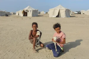 More than 112,000 displaced by Yemen fighting; thousands flee to Djibouti | Refugees News | ACTPnews