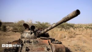 Ethiopia conflict: Seven armed groups form alliance against Abiy Ahmed | ACTPnews