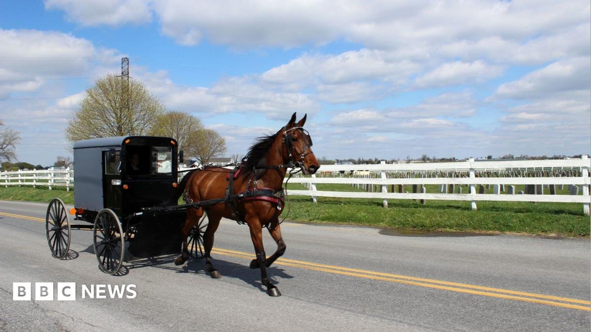 A horse and buggy carriage drives by
