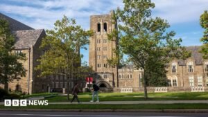 Cornell frat house rape accuser ‘under siege’ online, says lawyer | ACTPnews