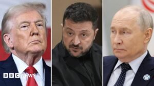 Trump says Ukraine and Russia have agreed ‘energy ceasefire’ | ACTPnews
