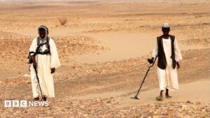 Dozens of gold prospectors killed in strikes on Egypt-Sudan border, rights group says | ACTPnews
