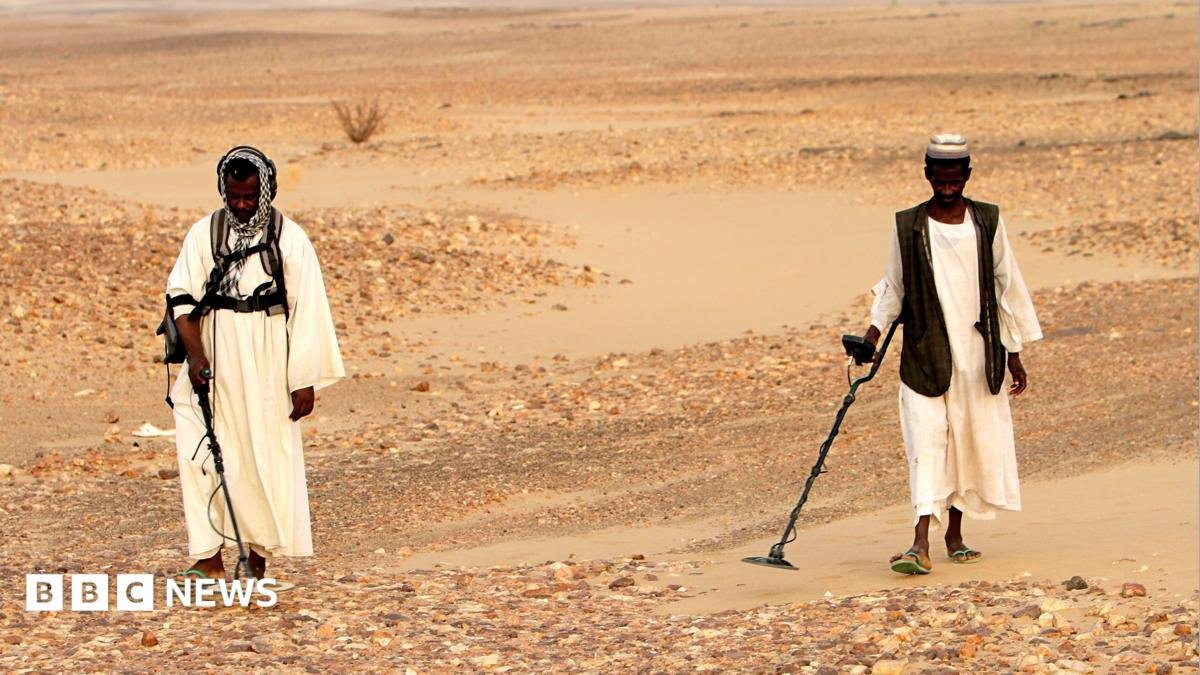 Dozens of gold prospectors killed in strikes on Egypt-Sudan border, rights group says | ACTPnews