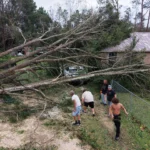 Hurricane Isaias leaves trail of destruction across the US Gulf Coast | Weather News | ACTPnews